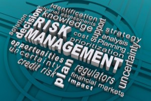 Risk Management Cover - Webster-Stanton