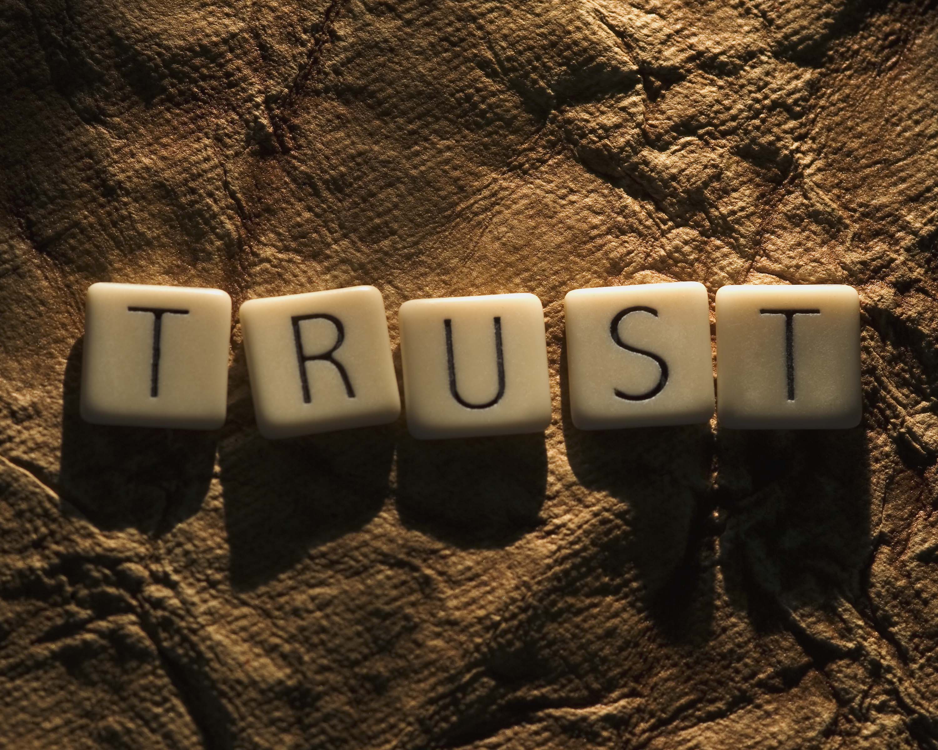 5 Easy Ways to Get Your Team to Trust You » Community GovLoop