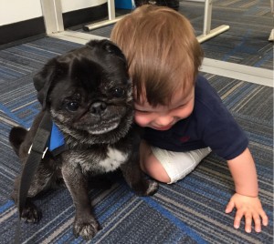 Pudge gets a hug from a young traveler