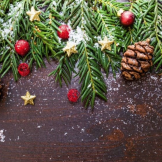 Winter scene with pinecones and cranberries