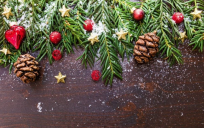 Winter scene with pinecones and cranberries